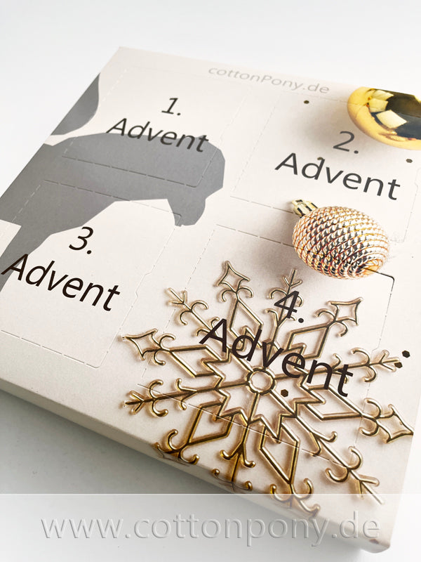 VORBESTELLUNG - Adventskalender 2026