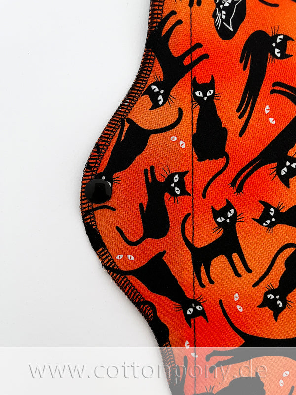 Kater auf Orange