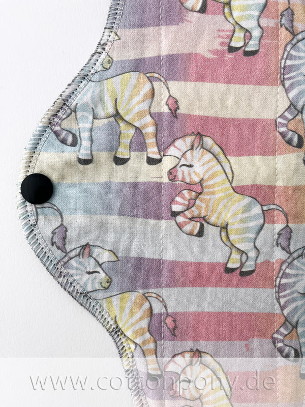 RegenbogenZebra