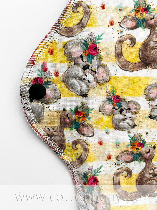 Kängurus & Koalas